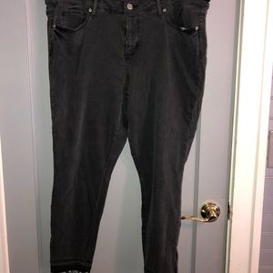 NWT Loft Plus Size Denim Distressed Jeans